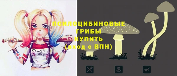 Альфа ПВП Арсеньев