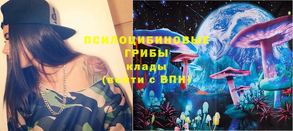 кокс Белокуриха